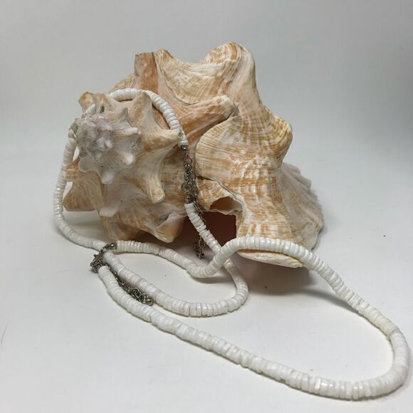 NWOT Lot of 8 Puka shell necklace - Picture 4 of 6